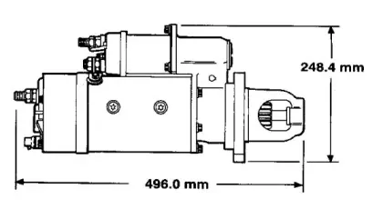 remy-1990416