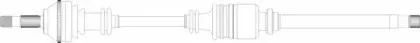 remy-drds09135