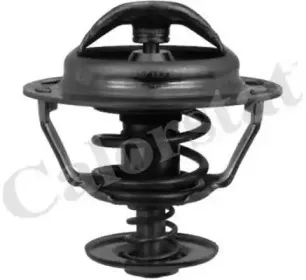 TH5353.83J CALORSTAT by Vernet Термостат, охлаждающая жидкость