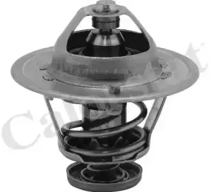 TH6252.89J CALORSTAT by Vernet Термостат, охлаждающая жидкость