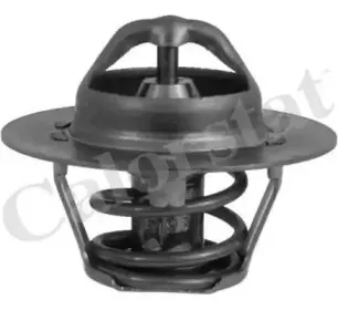 TH6318.89J CALORSTAT by Vernet Термостат, охлаждающая жидкость