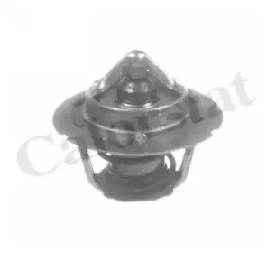 TH6843.91J CALORSTAT by Vernet Термостат, охлаждающая жидкость