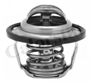 TH6883.82J CALORSTAT by Vernet Термостат, охлаждающая жидкость