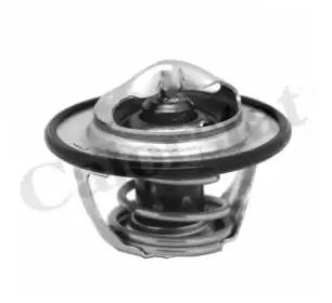 TH713082J CALORSTAT by Vernet Термостат, охлаждающая жидкость