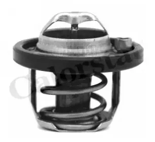 TH7315.82J CALORSTAT by Vernet Термостат, охлаждающая жидкость