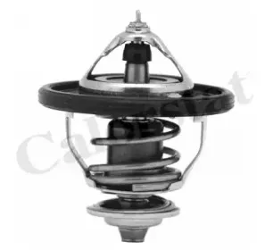 TH7354.88J CALORSTAT by Vernet Термостат, охлаждающая жидкость