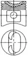 87-269906-00 NÜRAL Поршень