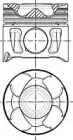 87-146106-10 NÜRAL Поршень