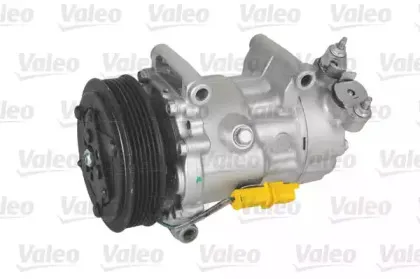813818 VALEO