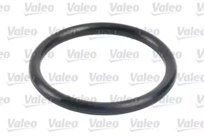 valeo-587716