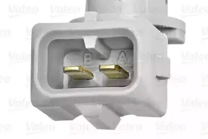 valeo-255600