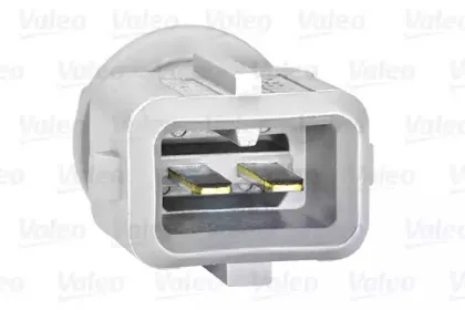 valeo-255604