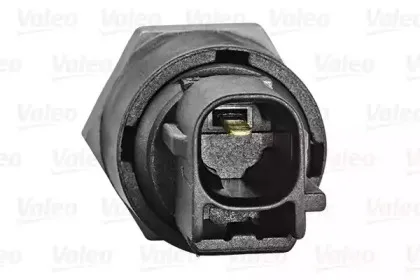 valeo-255100
