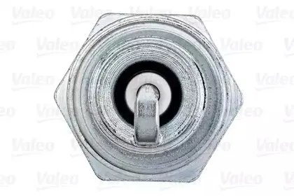 valeo-246894