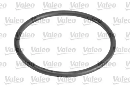 valeo-614504