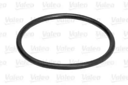 valeo-614518