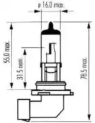 sctgermany-202594