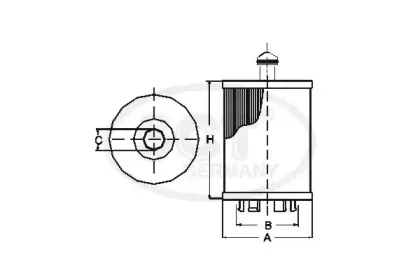 sctgermany-sh4066p