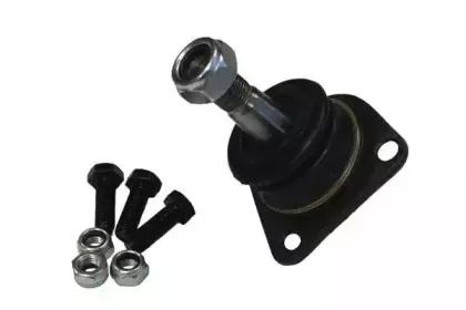 sctgermany-rm482