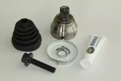 sctgermany-rt1119