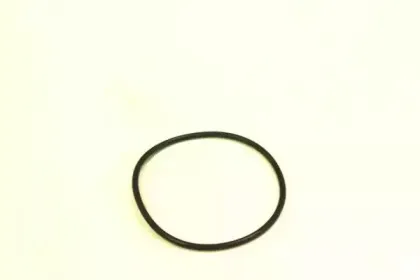 sctgermany-sh4755p