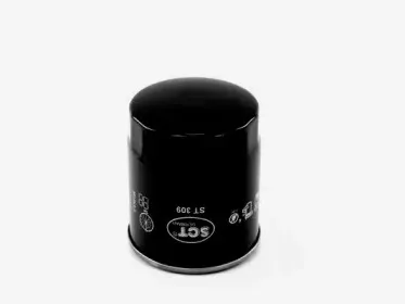 sctgermany-st309