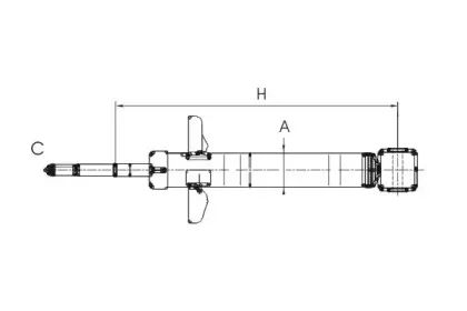 sctgermany-z1819