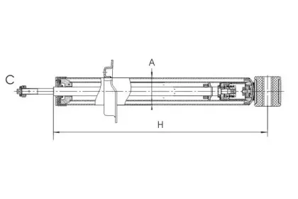 sctgermany-z2873