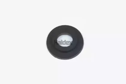 025048209 HALDEX