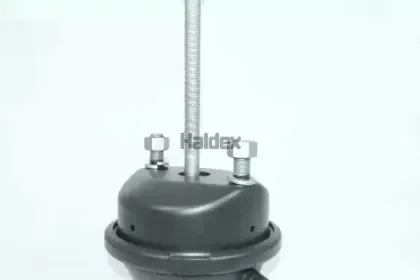 haldex-123200003