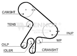 4451V FLENNOR Ремень ГРМ