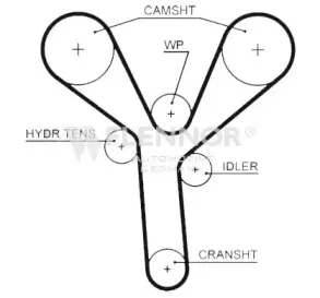 4559V FLENNOR Ремень ГРМ