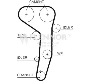4596V FLENNOR Ремень ГРМ