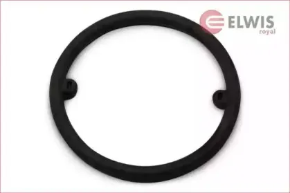 elwisroyal-7156094