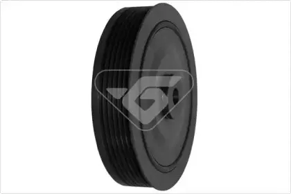 DP035 HUTCHINSON Ременный шкив, коленчатый вал