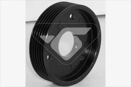 P2000 HUTCHINSON Ременный шкив, генератор