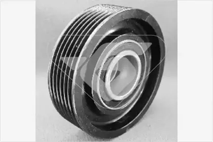 T0009 HUTCHINSON Паразитный / ведущий ролик, поликлиновой ремень