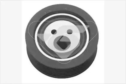 T0030 HUTCHINSON Паразитный / ведущий ролик, поликлиновой ремень