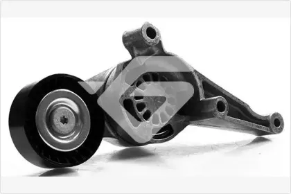 T0260 HUTCHINSON Натяжной ролик, поликлиновойремень