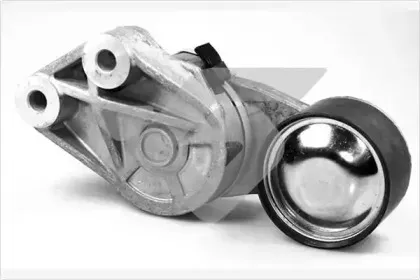 TK031 HUTCHINSON Натяжной ролик, поликлиновойремень