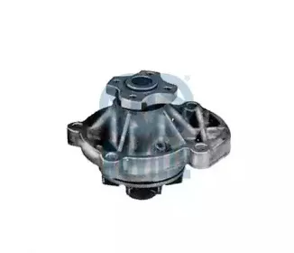 66410 RUVILLE Водяной насос