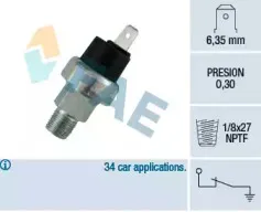 fae-13480