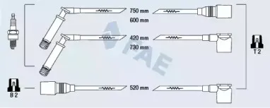 fae-83800