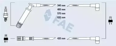 fae-85570