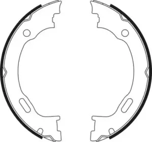 necto-n1697
