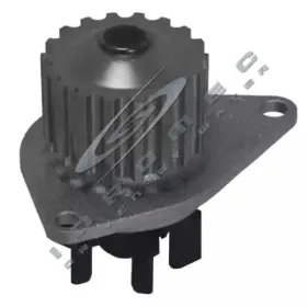 332627 CAR Водяной насос