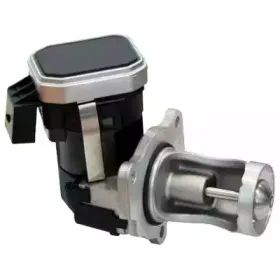 88210 MEAT & DORIA Клапан возврата ОГ