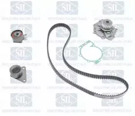 salerisil-k1pa1133