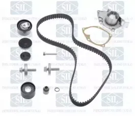 salerisil-k2pa1132