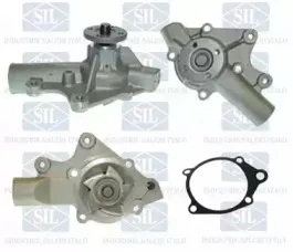 PA1223 Saleri SIL Водяной насос